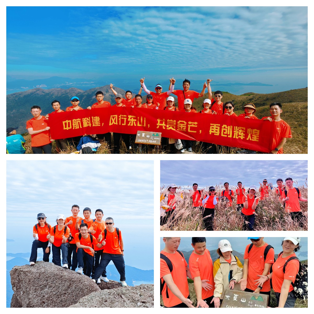 1764553652215824.jpg 1764553652215824.jpg